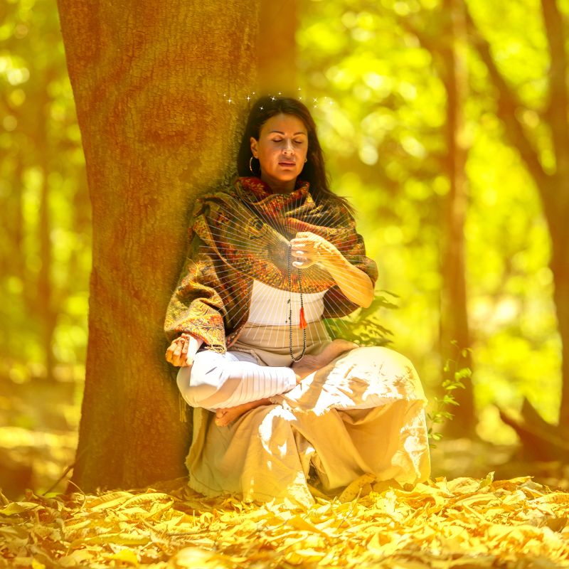 Dra. Shaorien Yvette